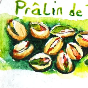 Chocolats aux pralins de pistache